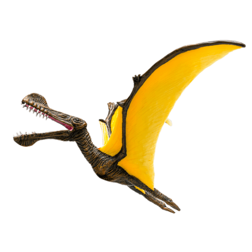 Tropeognathus