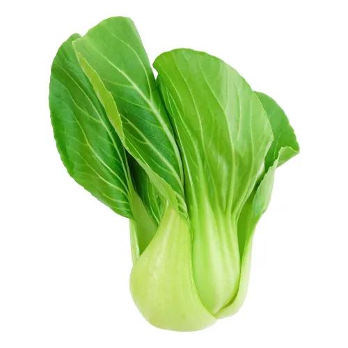 Baby Bok Choy 1 Piece