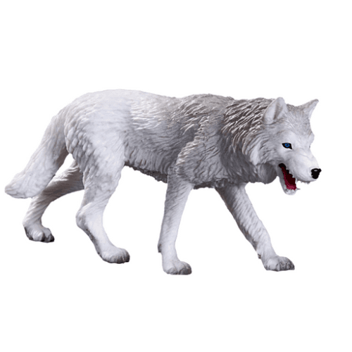 Arctic Wolf - 921813