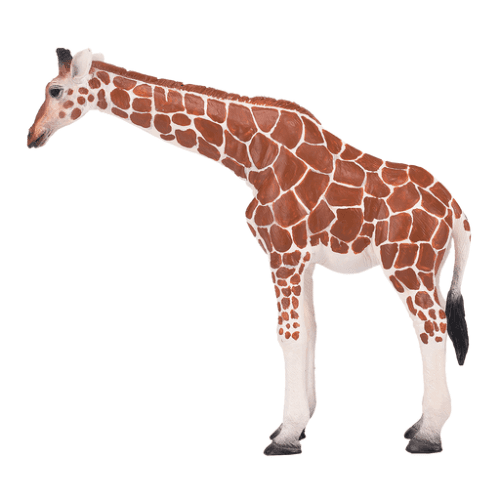 Giraffe Female - 921790