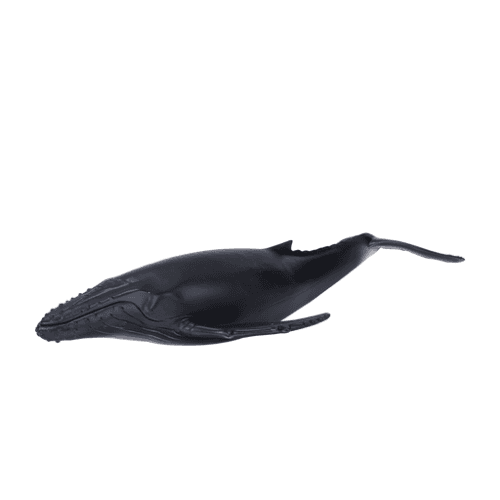 Humpback Whale - 921819