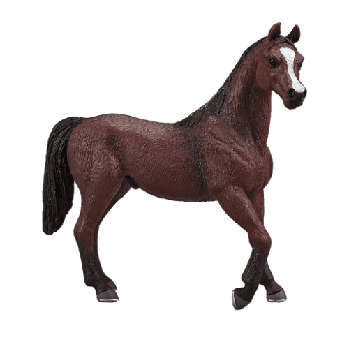 Arabian Stallion Chestnut - 921817