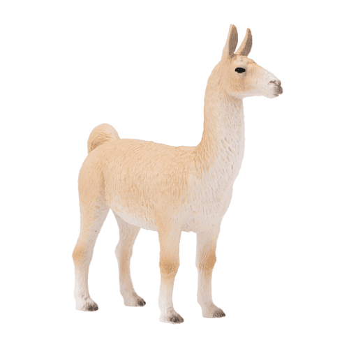 Llama - 921810