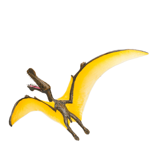 Tropeognathus