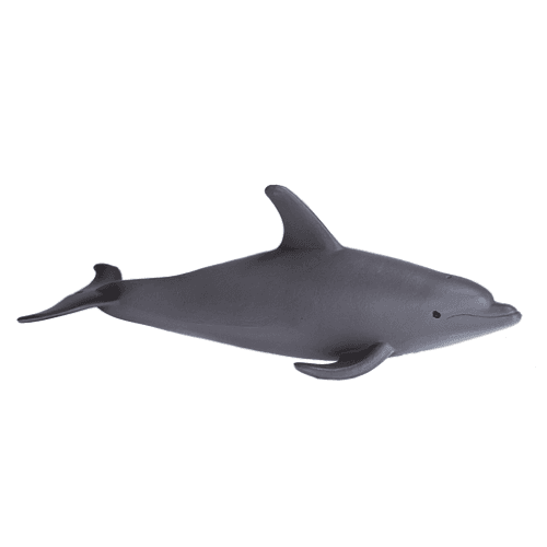 Bottlenose Dolphin - 921818