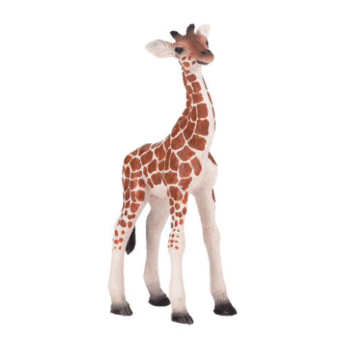 Giraffe Calf - 921791