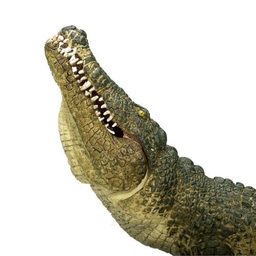 Crocodile With Moving Jaw