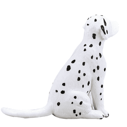 Dalmatian Puppy