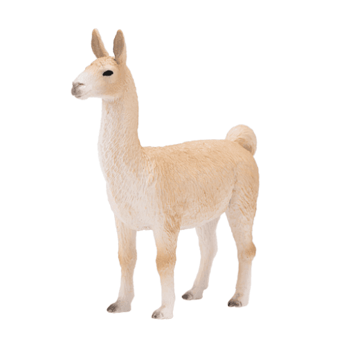 Llama - 921810