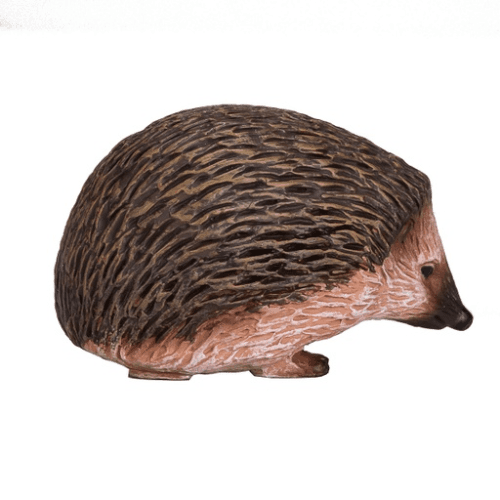 Hedgehog