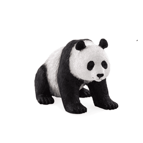 Giant Panda