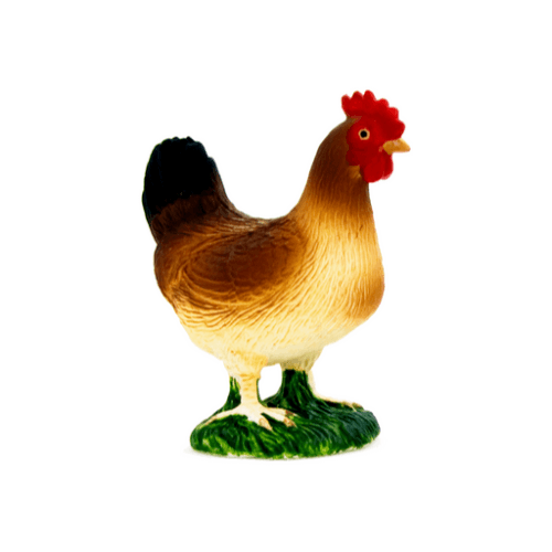 Hen Standing