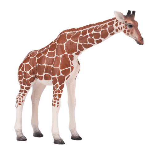 Giraffe Female - 921790