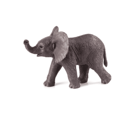 African Elephant Baby