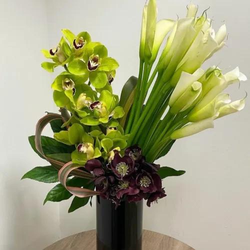 Beautiful Calla Lily