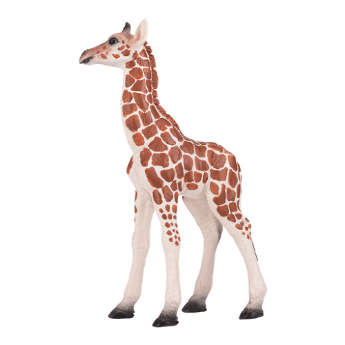 Giraffe Calf - 921791