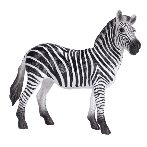 Zebra Mare - 921793