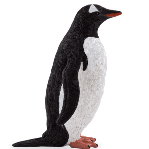 Gentoo Penguin - 921820