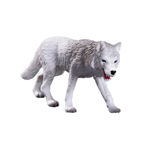 Arctic Wolf - 921813