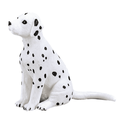 Dalmatian Puppy