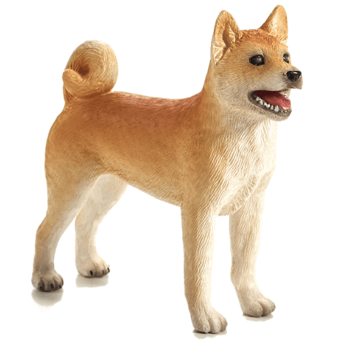 Shiba Inu