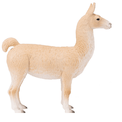 Llama - 921810