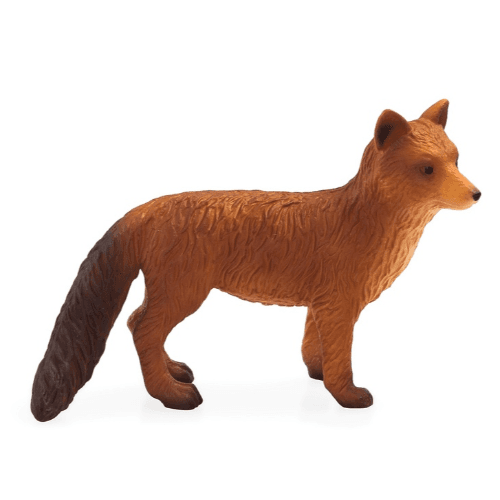 Red Fox