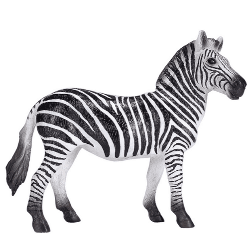 Zebra Mare - 921793