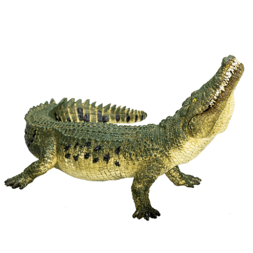 Crocodile With Moving Jaw