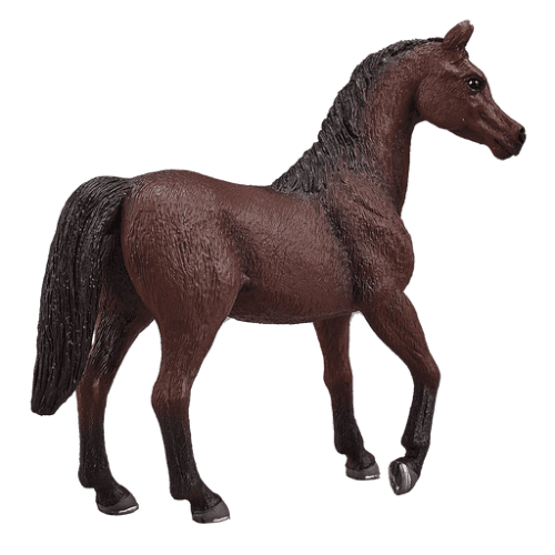 Arabian Stallion Chestnut - 921817