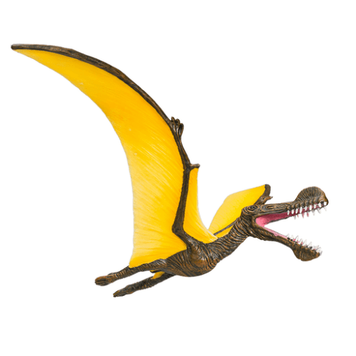 Tropeognathus