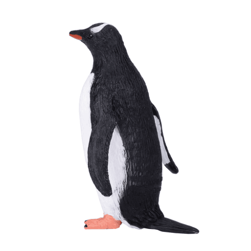 Gentoo Penguin - 921820