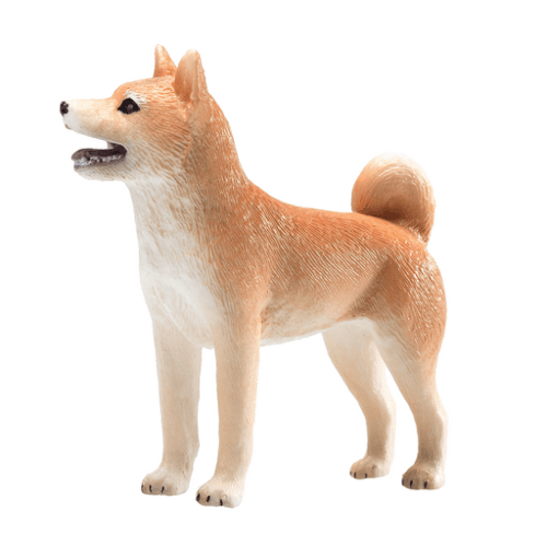 Shiba Inu