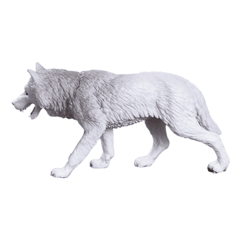 Arctic Wolf - 921813