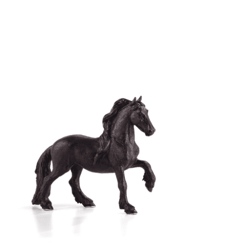 Friesian Mare