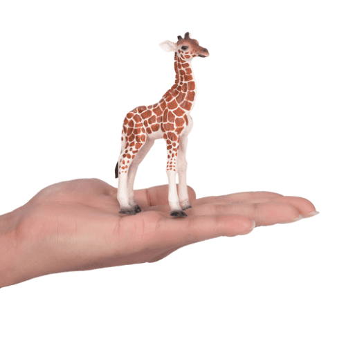 Giraffe Calf - 921791