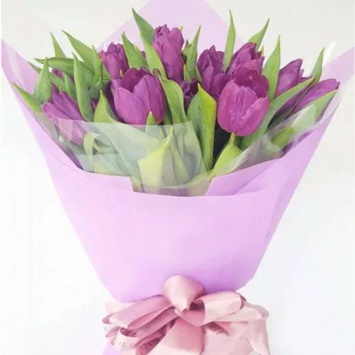 Melody Purple Tulip