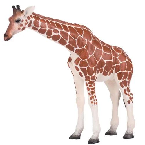 Giraffe Female - 921790