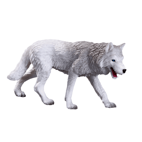 Arctic Wolf - 921813