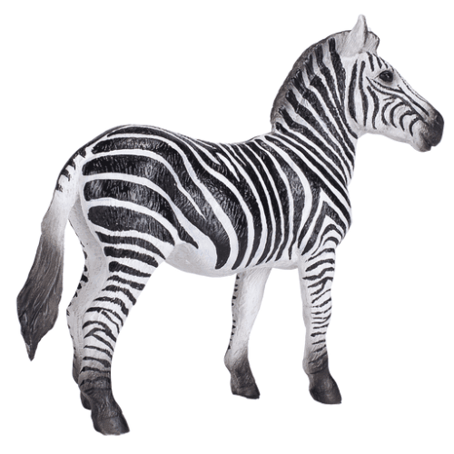 Zebra Mare - 921793