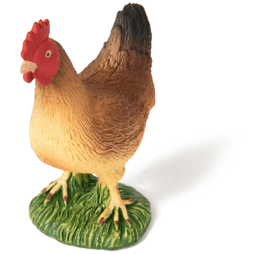 Hen Standing