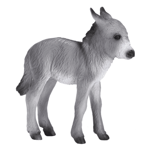 Donkey Foal