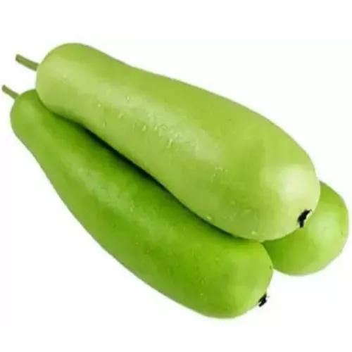 Bottle Gourd India 500 Gr