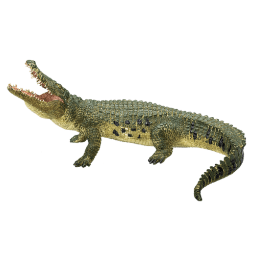 Crocodile With Moving Jaw