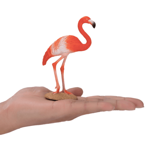 American Flamingo - 921811