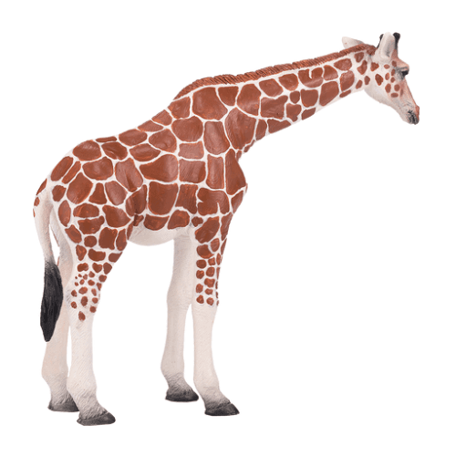 Giraffe Female - 921790