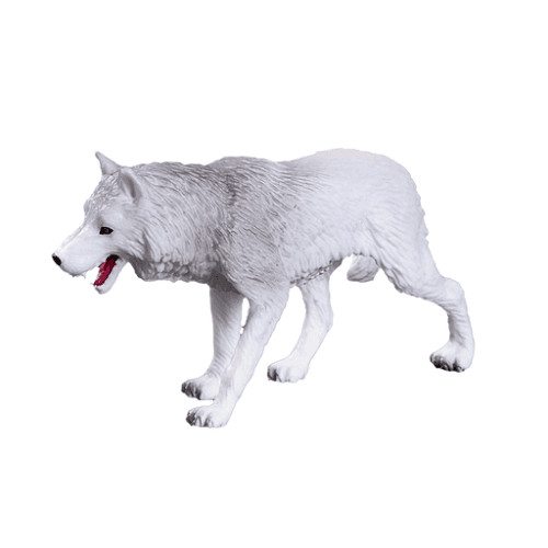 Arctic Wolf - 921813