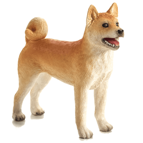 Shiba Inu