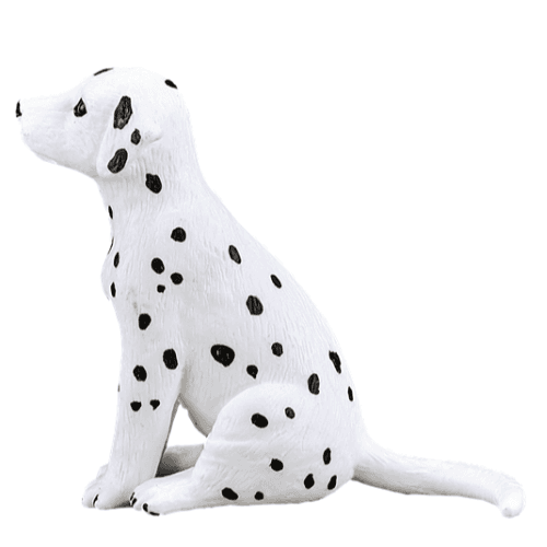 Dalmatian Puppy