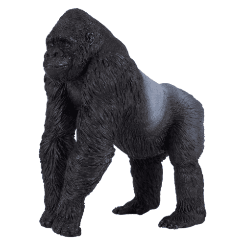 Gorilla Male Silverback - 921812